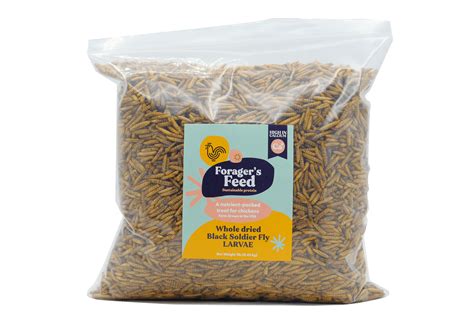 animal feed forager.